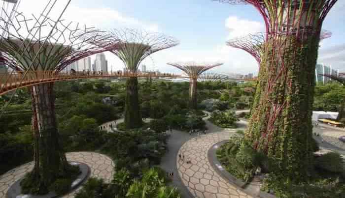 OCBC Skyway View