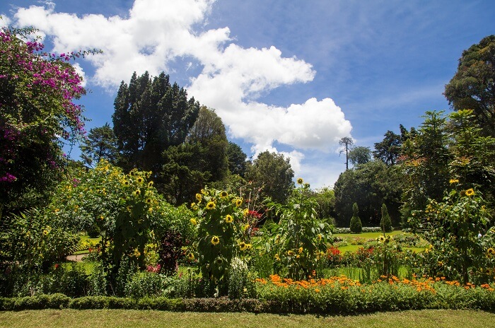 Victoria park, Nuwara Eliya