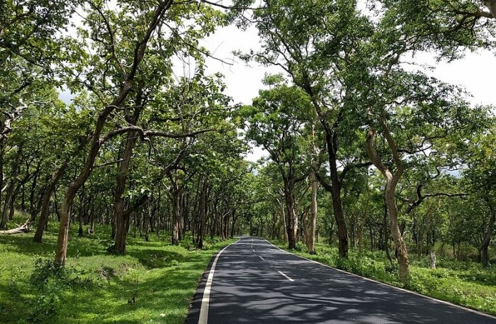 Bandipur In Nepal