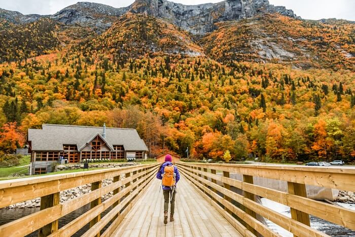 Amazing Summer In Canada