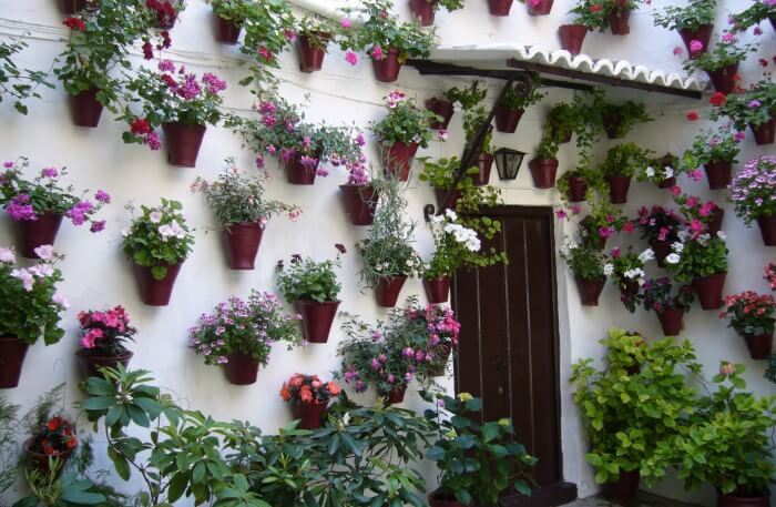 Patios De Cordoba