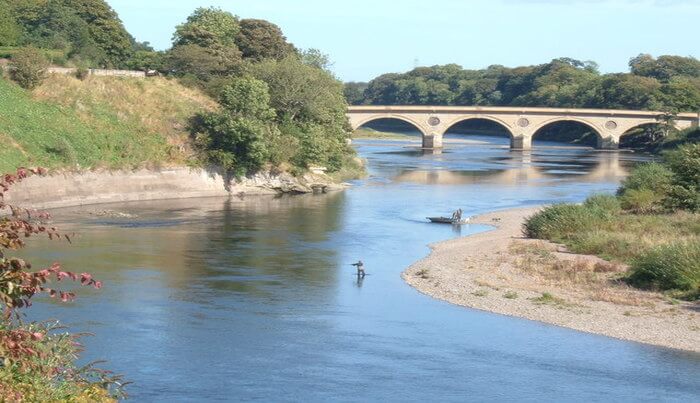 Tweed River View