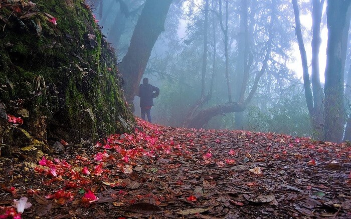 Varsey trek