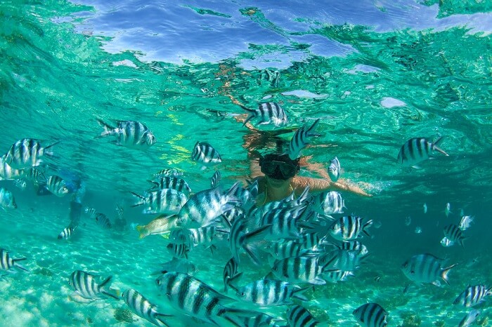 moka snorkeling