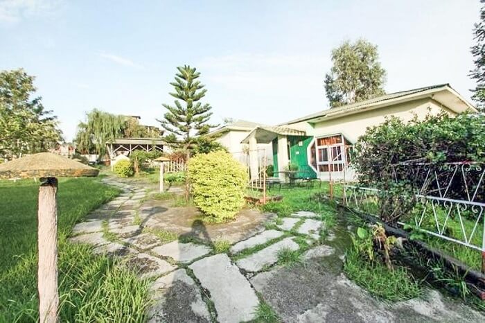 stay at Country Cottage in Palampur
