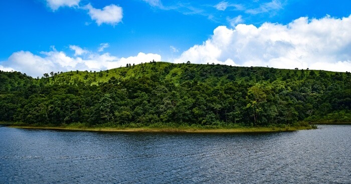 A monsoon memoir from Thekkady